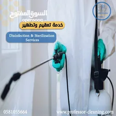  5 offer professor cleaning