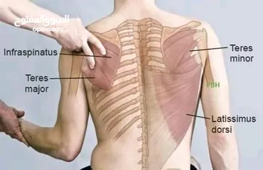 11 مدرب لياقه بدنيه وبناء أجسام ومدرب سباحه