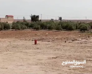  5 فرصه ذهبية على قطع أراضي استثمارية؛في محافظة المفرق في قرية الحميدية. بمساحات 750 م و 1000 م دونم