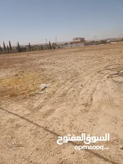  10 ارض للبيع في المفرق