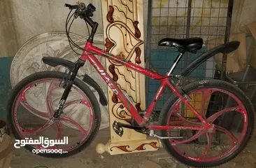  1 دراجة هوائية اوربي بسعر عررررررررطة