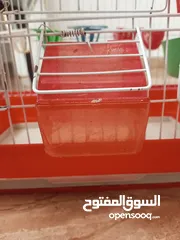  10 قفص مع اغراض كثير اقرأ الوصف