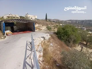  15 محل للايجار