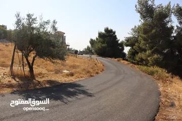  5 (1)ارض للبيع بدر الجديدة حوض الحديب مساحه 740م