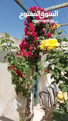 2 قطعة ارض في قرية سالم ذات إطلاله مميزه تصلح لبناء فيلا او عماره سكنيه متوفر لها جميع الخدمات منلمالك