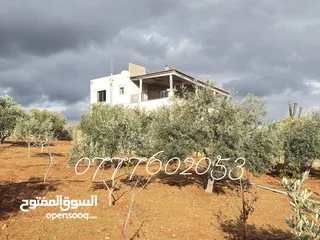  17 مزرعة لقطة مميزة مع بيت طابقين مطلة ومرتفعة