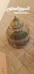  1 Birds cage for parrots and feeding
