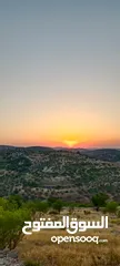  1 مزرعه  صغريه راقيه على قمه جبل مطله للغرب كوشان مستقل بسعر مميز جدا منطقه مزراع راقيه