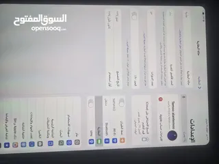  2 ipad11pro(M4)
