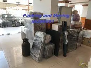  2 professional Indian Movers and Packers