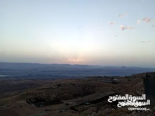  2 ارض 15 دنم السلط البطين اطلالة غربية كاملة ع جبال فلسطين