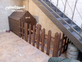  16 أكواخ خشبية وبيوت للحيوانات