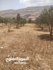  4 بيع قطعة ارض