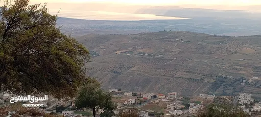  3 قطعة ارض  ثلاث شوارع اطلالة بانوراما على فلسطين والبحر الميت واجهة كبيرة