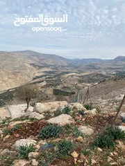  7 14 قطعة أرض في أجمل مناطق كفرنجه في عجلون