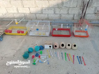  3 اقفاس عصافير مع أغراض عشوش فخارات اصابع مشارب أقرأ الوصف