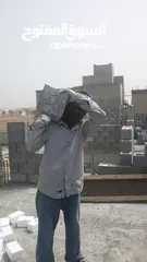  2 Balding  maintenance  call