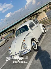  1 بيتل 1962 بغداد مشروع وطني