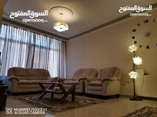  5 شقة مفروشة سوبر ديلوكس اعلان رقم (D117)