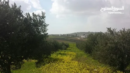  1 4 دونم و ربع على بعد 200 متر من الجامعه الالمانيه مع طله غربيه للبيع، للضروره!!