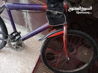  5 بسكليت نمره 24 ما بحتاج اشي