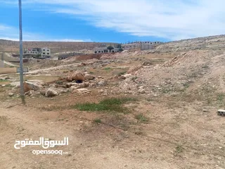  2 ارض في البيضه