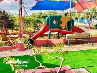  20 الكنز الأخضر في دير غزالة – منتجع فاخر بموقع استراتيجي