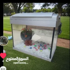  1 حوض سمك زجاج