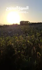  2 ارض للبيع اطلاله على الساحل الفلسطيني