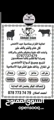  31 لحام متنقل ذبح أضاحي خاروف عجل بلدي جمل غنم بلدي روماني برزيلي كولمبي اسباني خروف بلدي جزار متنقل