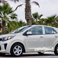  6 Kia Picanto 2019 0 accident car for sale