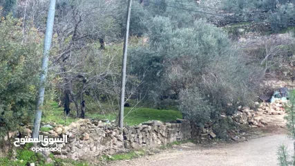  2 اشتري كاش... ومبروك مقدّمًا لصاحب النصيب سعر ببلاش - ارض 240 متر بموقع ممتاز