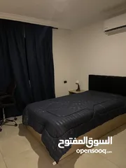  7 One bedroom apartment- VIP