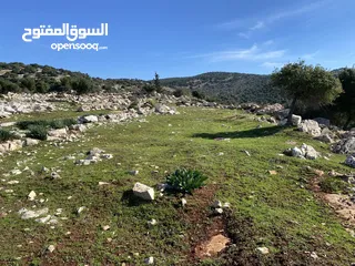  5 ارض للبيع في عجلون