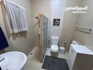  6 Furnished three bedroom apartment for rent  ( Property 40842 )-174648964