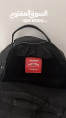  2 spraygrounds limited bag