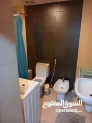  5 شقة مفروشة مميزة للايجار
