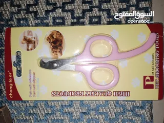 10 قطة انثى شيرازي هملايا للتبني مجانا عمر تسع اشهر مع ملحقاتها غير مؤذية وتحب اللعب و نظيفة