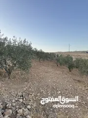  9 ارض مرتفعه للبيع
