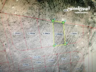  6 للبيع ارض الزرقاء الجديدة البتراوي الجنوبي  بجانب معامل الطوب   باعلى نقطة بالمن
