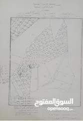  1 ارض مميزه للبيع بمساحة 503 متر مربع - أراضي شمال عمان - سافوط