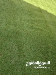  2 نجيل صناعي