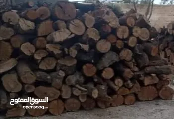  3 حطب زيتون ولوز وحمضيات ناشف مقطع حسب الطلب