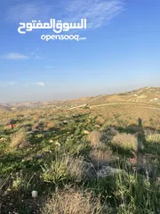  4 قطعة ارض مميزه جدا وموقع مميز فرصه لبناء منزل الاحلام وسعر جداً مميز شفا بدران ام رمانه اطلاله رائعه