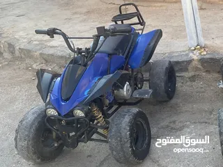  1 دباب فراشه للبيع بسعر مغري