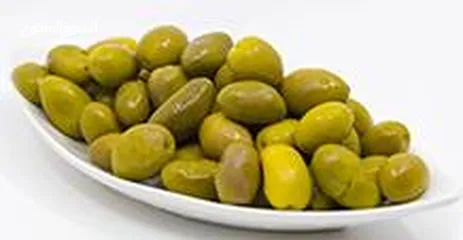  20 مشروع المليون دينار فقط لأصحاب مطاعم الحمص والفول والفلافل والمستثمرين من يرغب الأستثمار في المشروع