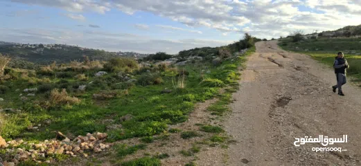  14 دونم ارض طابوا فلسطيني منطقة (B)بالقرب من دوار كفرصور جميع الخدمات فيها عليها شارع 12متر موقع مميز