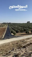  3 ارض للبيع في حسبان قريبة من شارع المطار ومرج الحمام على شارع مأدبا الغربي قريبة من الجامعة الألمانية