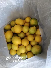  1 ليمون أكثر من ثلاثين حبة