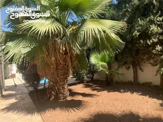  16 فيلا سوبر ديلوكس أرقى واجمل مناطق عبدون اعلان رقم (V38)